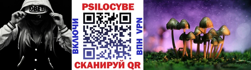 Купить  Кировск  Псилоцибиновые грибы Magic Shrooms 